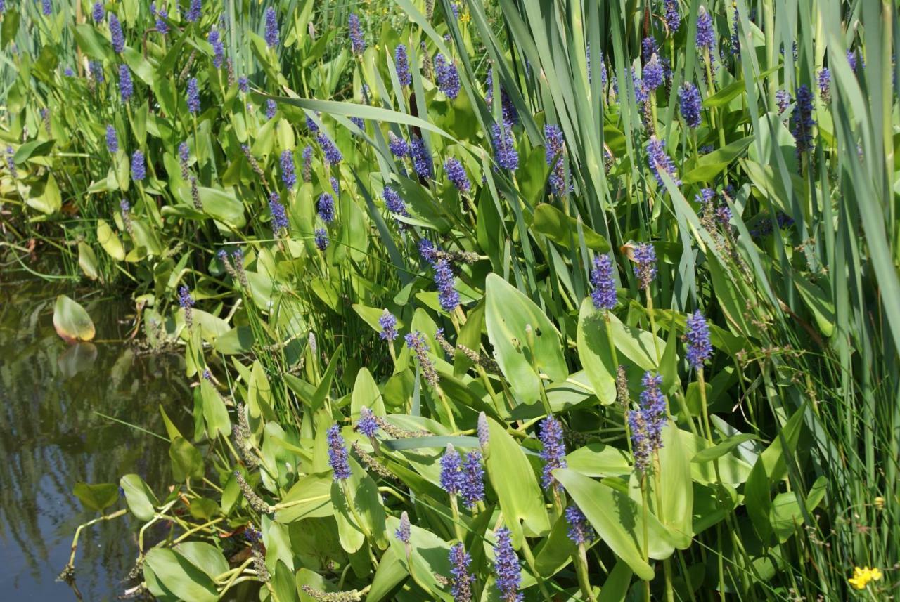 דירות נורדן Gastenverblijf De Natureluur מראה חיצוני תמונה